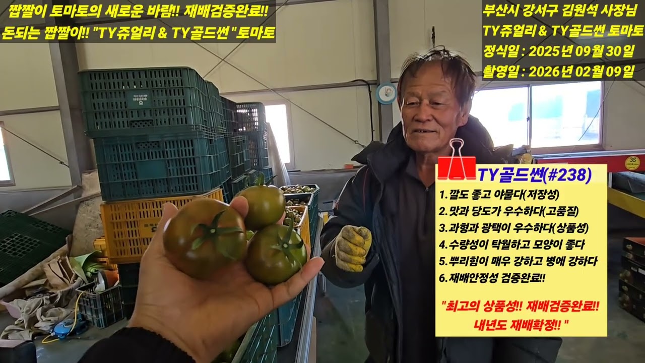 [TY쥬얼리 & TY골드썬] 더 맛있고 강력한 짭짤이! 돈되는 짭짤이! 