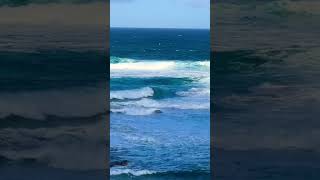 SOLO SURFER OUT IN TAMARAMA CHUNK. #shorts