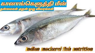 Mackerel Fish Helth Benefit கனஙகளதத மனன பயனகள