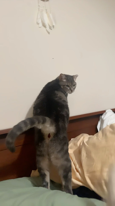 You don’t need to get up on the ledge Mook