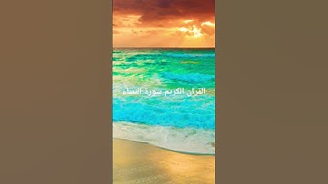 القارئ الشيخ محمد الفقيه #اكسبلور #المصحف #تلاوات_رائعة #لايك #إشتراك #