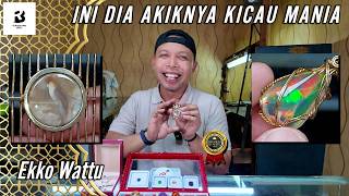 Don't Miss Out❗This Coverage Is Packed With Unique and Cool Collections ( Ekko Wattu )