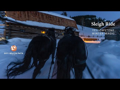 Yellowstone Winter Magic: Sleigh Ride
