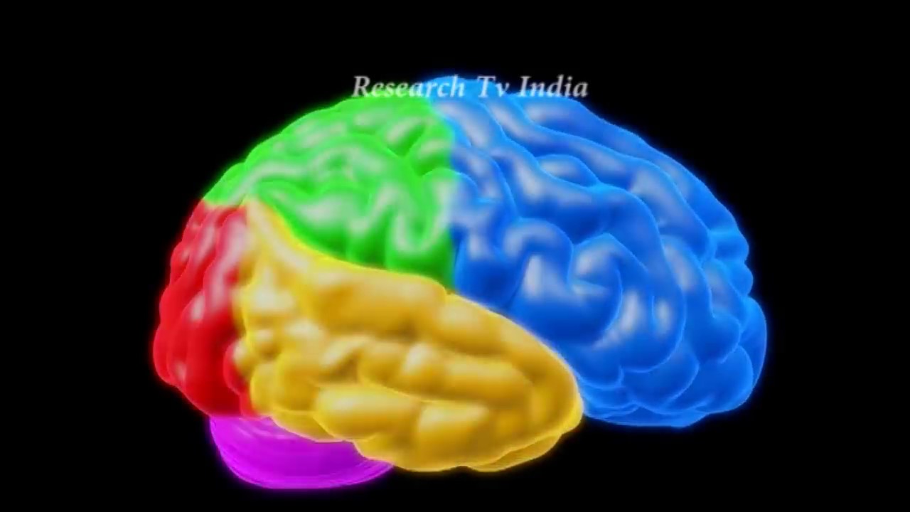 वैज्ञानिक भी हैरान, मानव शरीर में मिले नए अंग | Scientists identify a