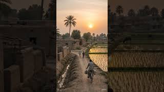 90s pakistani village #shorts #90s #villagelife