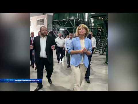 Более 220 000 тонн растительной продукции из Воронежской области отправлено на экспорт