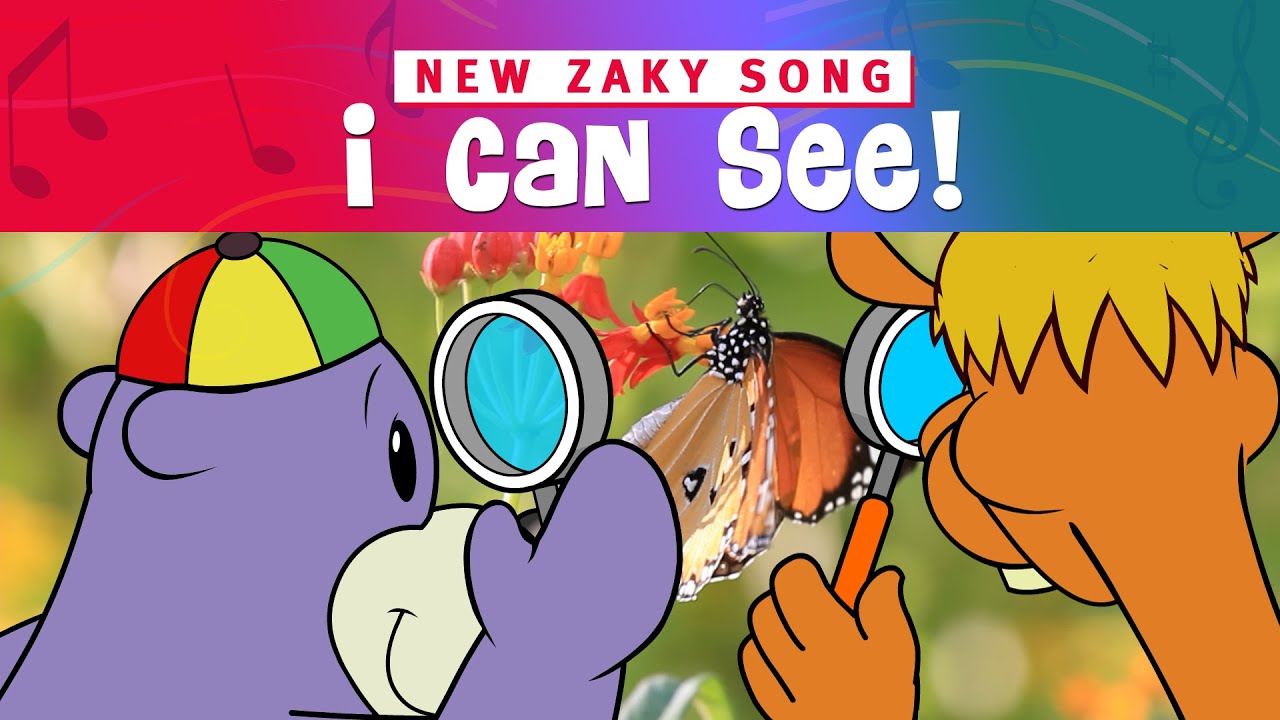 Zaky Song   I Can See