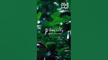 قران كريم القارئ أحمد حمادي (سورة النبأ)