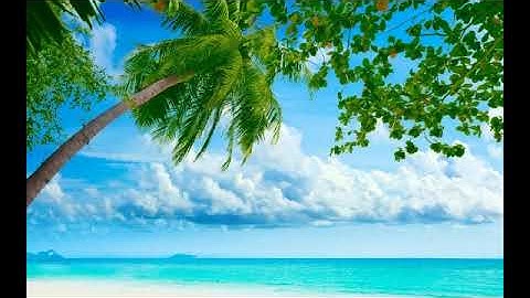 سورة البقرة بصوت القارئ رشاد درويش