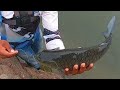 Best handline fishing,Mahseer fishing,carp fishing,handline fishing,best fishing technique