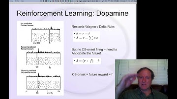 CCN Course 2020, Motor 8: Dopamine is reward prediction error