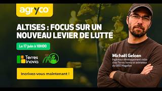 Altises du colza : un nouveau levier de lutte à découvrir | Replay Webinar Agryco x Terres Inovia