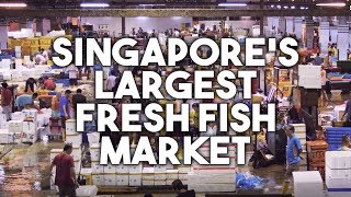 Hai Sia Seafood: Singapore's Own "Tsukiji" Fish Market screenshot 4