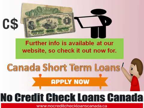 No Credit Check Loans Canada Payday Loans Bunny Youtube