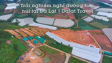 Điểm Homestay Nghỉ Dưỡng, Săn Mây It Ai Biết Tại Da Lat | Not many people know this place in Dalat