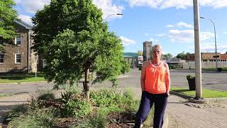Smiths Falls Downtown Shopping Experience