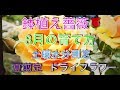 鉢植え薔薇