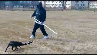 Kendrick Kennels..and The Crowd Goes Wild..... Onyx Onyx Onyx