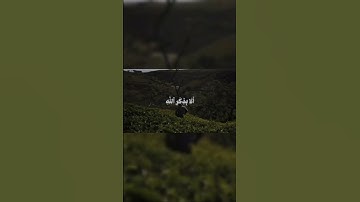 سورة الرعد، الآية ٢٨ القارئ محمد صديق المنشاوي رحمة الله .