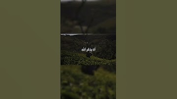 سورة الرعد، الآية ٢٨ القارئ محمد صديق المنشاوي رحمة الله .
