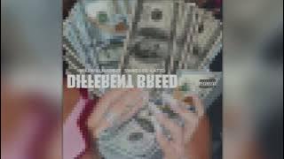 Swae Lee & Latto - Different Breed (Official Audio)