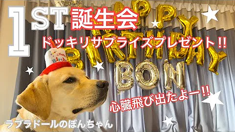 誕生日 ドッキリ10連発で新メンバーを驚かせようとしたのに Mp3
