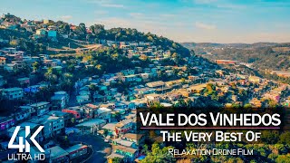 【4K】?? Vale dos Vinhedos from Above  BRAZIL 2021 