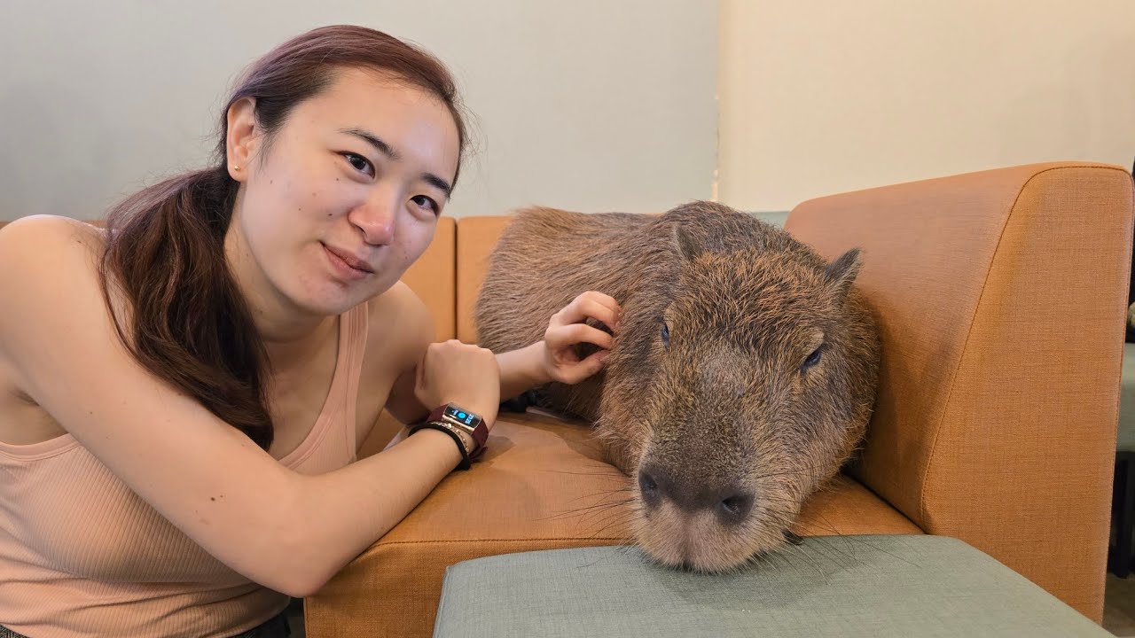 Capybara Cafe + Tokyo Sky Tree + Osaka - October 4-6, 2024