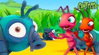 Bugs on the Beach | Antiks Full Episodes | Moonbug No Dialogue Comedy Cartoons for Kids