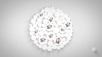 01 - Intro Adobe Flash