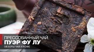 Чай из Китая отзывы // Прессованный Шу Пуэр Фу Лу