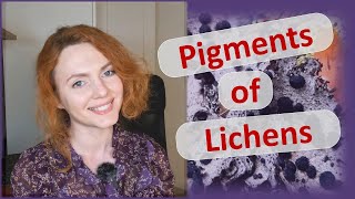 Pigments of lichens: Usnic acid, Vulpinic acid, Sedifolia-grey, Rhodocladonic acid, Parietin...
