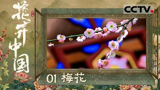 《花开中国》第二季 01 梅花：带你一口气看五种梅花！全世界第一朵有品种身份证的梅花在南京【CCTV纪录】