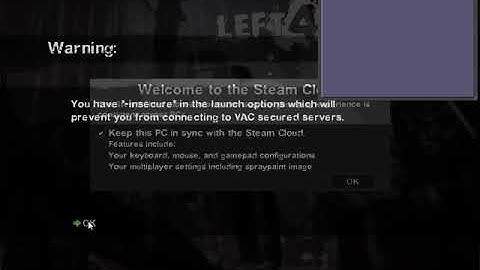 Left 4 Dead 2 Tools mode problem