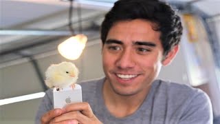 Top Incredible Zach King Magic 2020