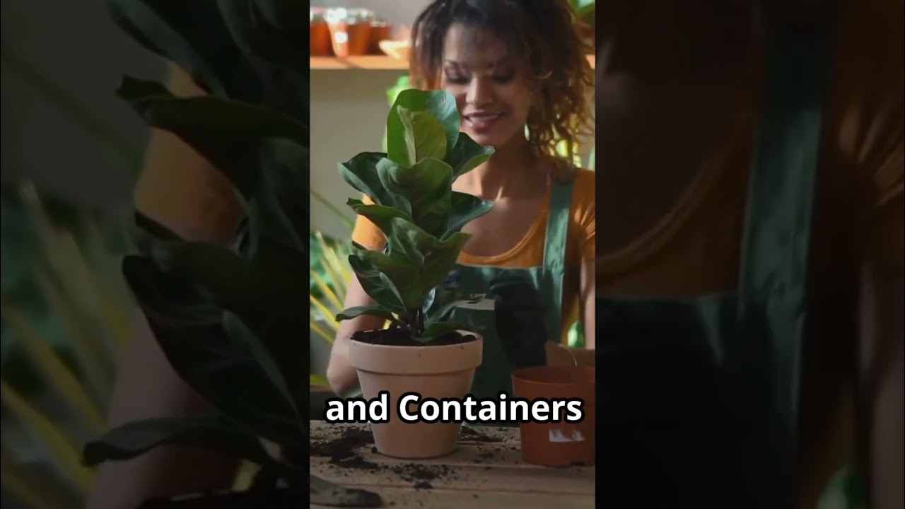 Grow Lavender Indoors  Easy Guide to Fragrant Blooms & Success