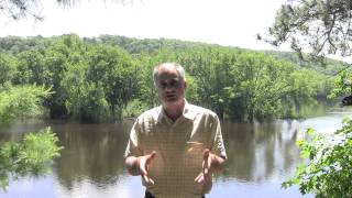 Ask an Expert- Intro- Shawn Schottler