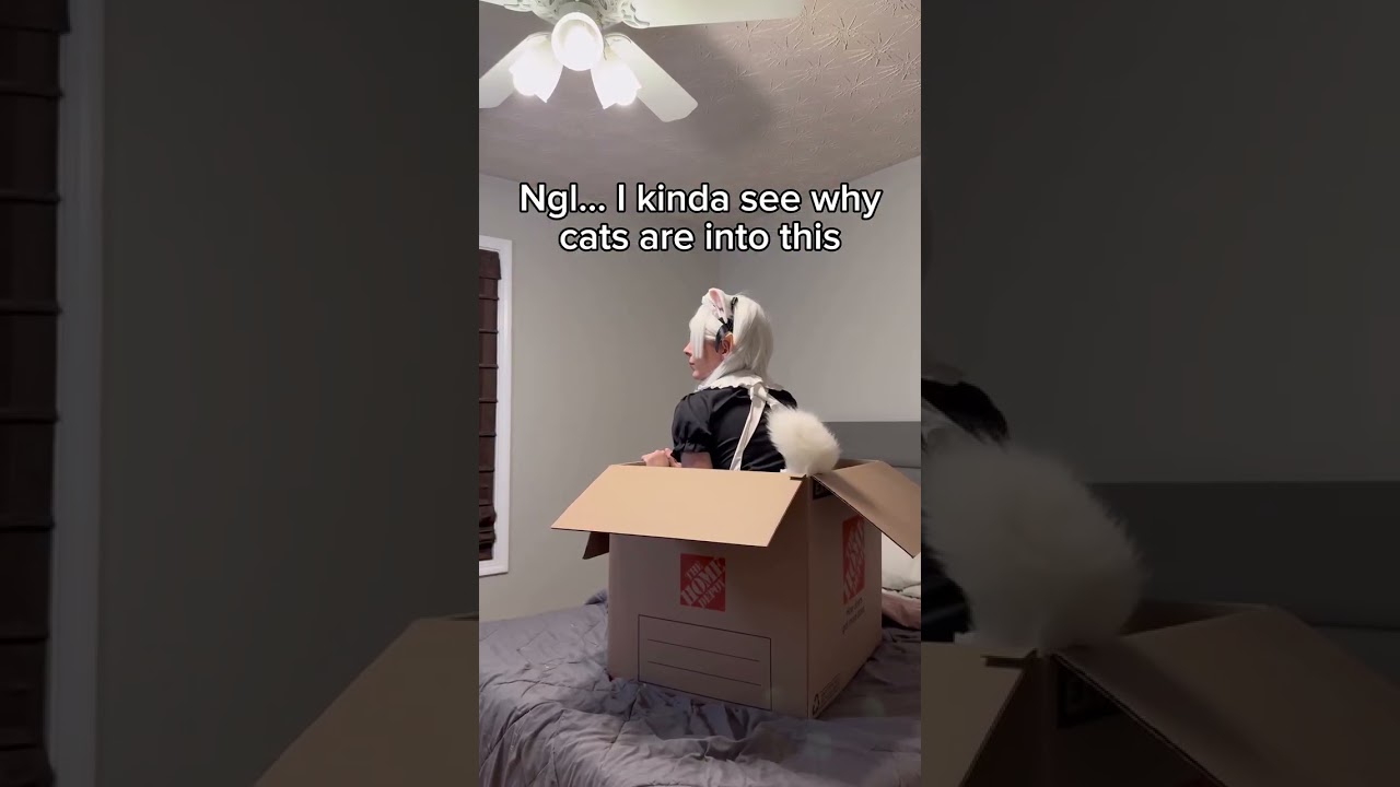 I see why cats like this so much... 📦