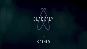 BlackFly   Official Launch