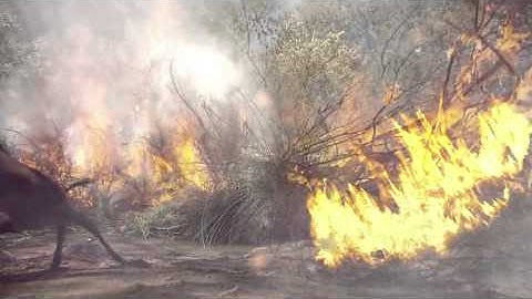 CSIR Advanced Fire Information System