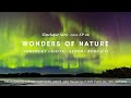 Northern Lights / Aurora Borealis [4K]