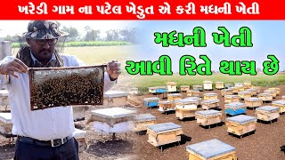 શુધ્ધ મધ ની ખેતી આવી રીતે થાય છે HoneyBee Keeping Farming in Gujarat/ Madhudhara Farm /Rajkot