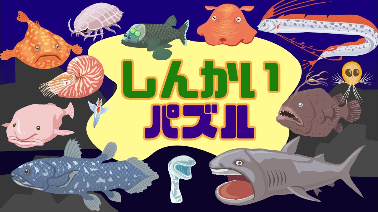 【深海生物パズル】たくさんの深海生物が登場！メガマウス、チョウチンアンコウ、デメニギス、リュウグウノツカイetc