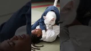 When Your Cat Is A Professional Wrestler, Kitty Pin Down, The Cutest Catfight Youll Ever See