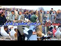 جمعه بازار چمن حضوری کابل Biggest Friday Bazar Kabul پول سه حویلی را کفتر خریدم قیمت ترین کفتر 