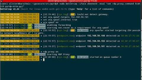 PyRDP Bettercap Integration