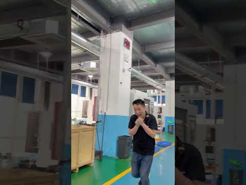 中国天雕 一锤定音？#中国文化 #cnc #机器人 #具身智能 #人形機器人 #中国制造 #机器狗 #中国が公開されている