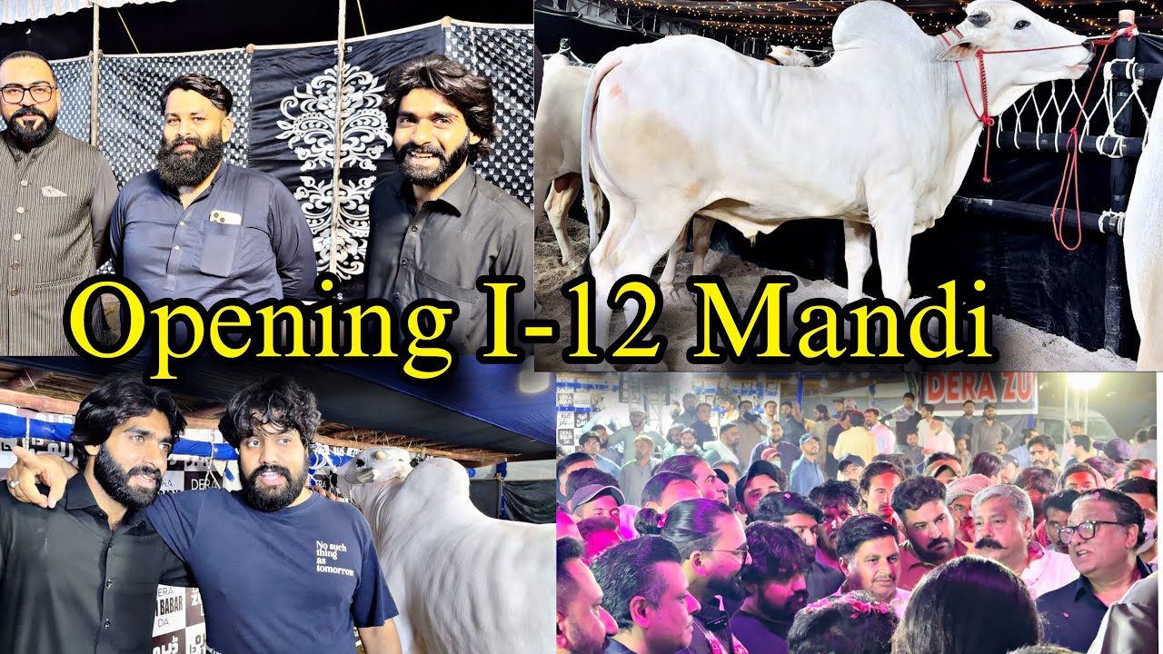 I-12 Mandi Opening | Full Ronaq Mela | Season 2025