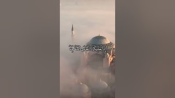 واتس اب قران كريم القارئ مشاري العفاسي (سوره الإنفال)