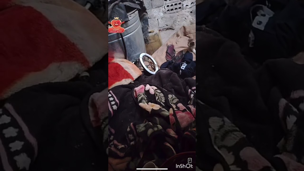 اثير طلع من السجن #زينب_بنت_الديوانيه 